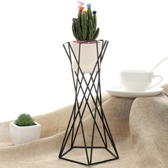 Twisted Geometric Metal Air Plant Stand