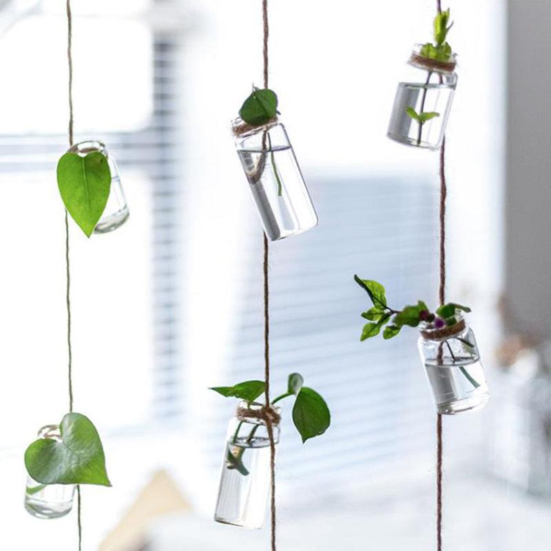 Twine Hanging Propagation Jars