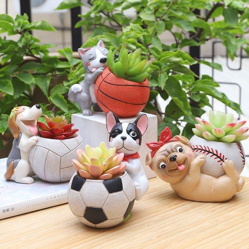 Sporty Dog Succulent Planter