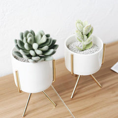 Short Tabletop Ceramic Planter with Geometric Metal Stand